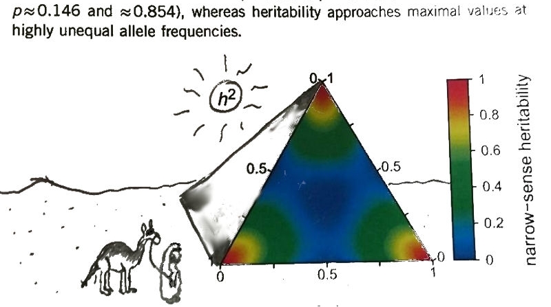 Doodling on a scientific paper